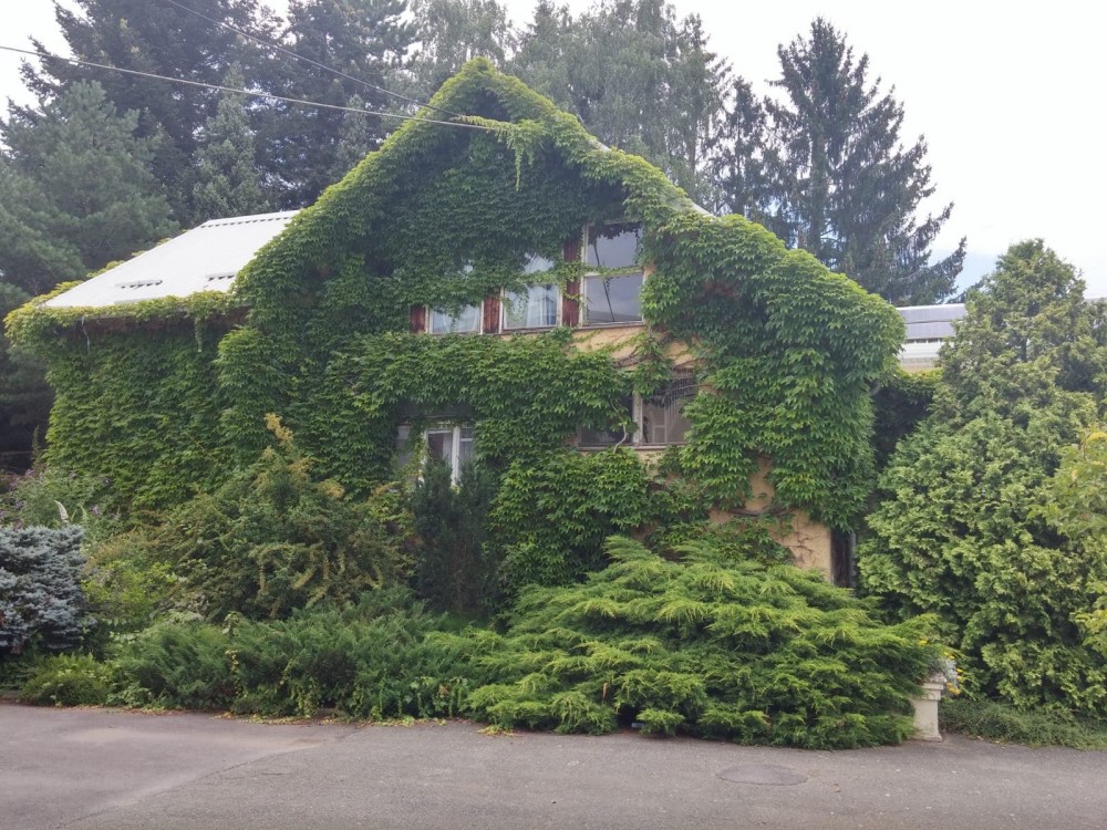 Visit to Arboretum Opeka 